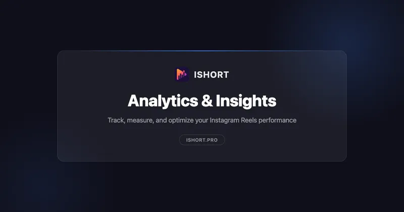 Instagram Insights guide